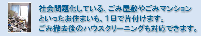 ごみ屋敷