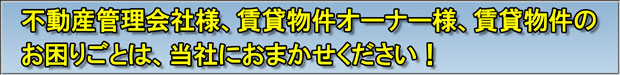 おまかせ
